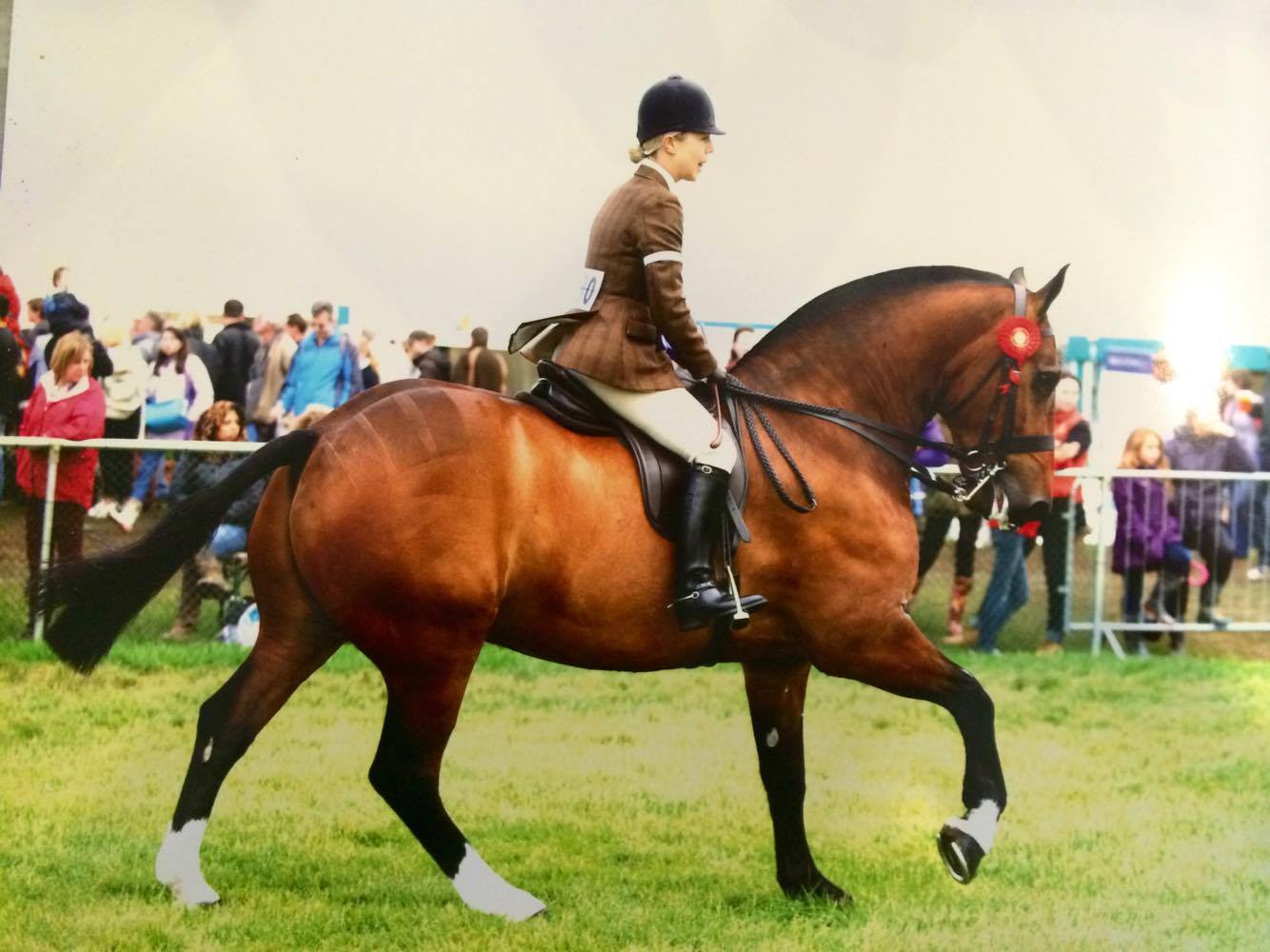 The Surrey Envelopes Heavyweight Cob Championship